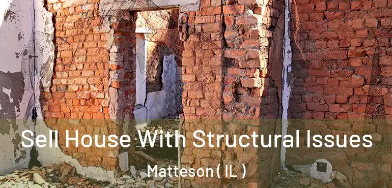  Sell House With Structural Issues Matteson ( IL )