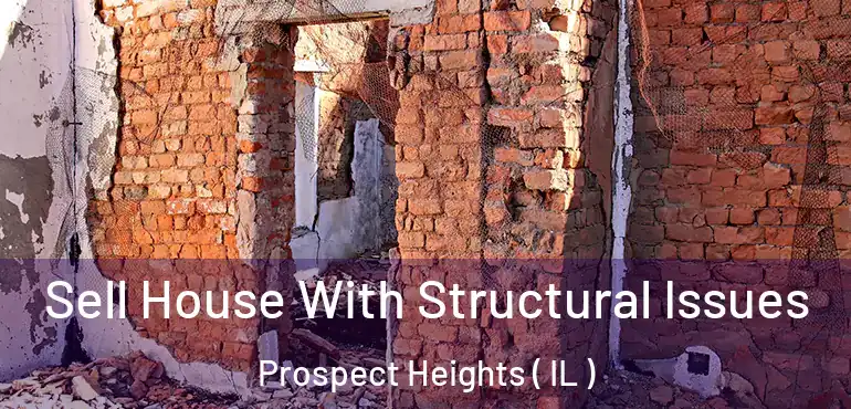  Sell House With Structural Issues Prospect Heights ( IL )