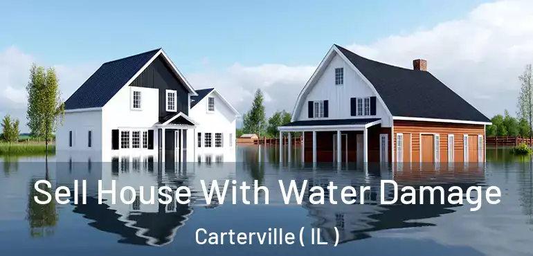  Sell House With Water Damage Carterville ( IL )