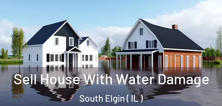  Sell House With Water Damage South Elgin ( IL )