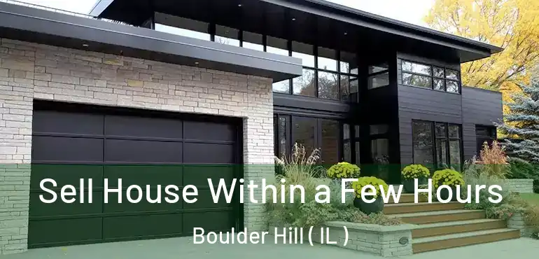  Sell House Within a Few Hours Boulder Hill ( IL )