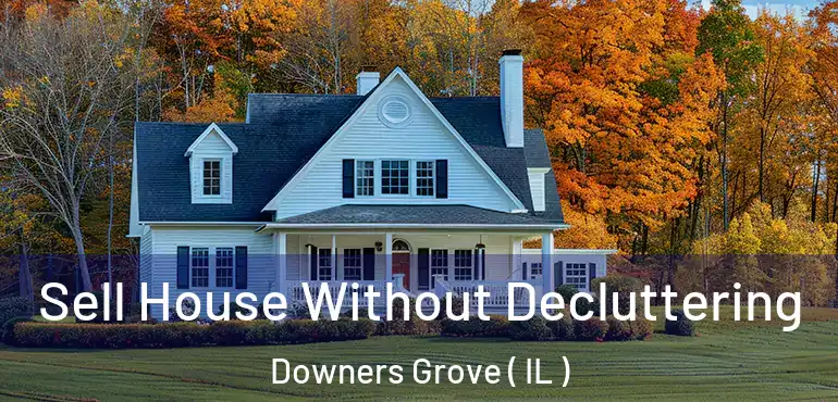  Sell House Without Decluttering Downers Grove ( IL )
