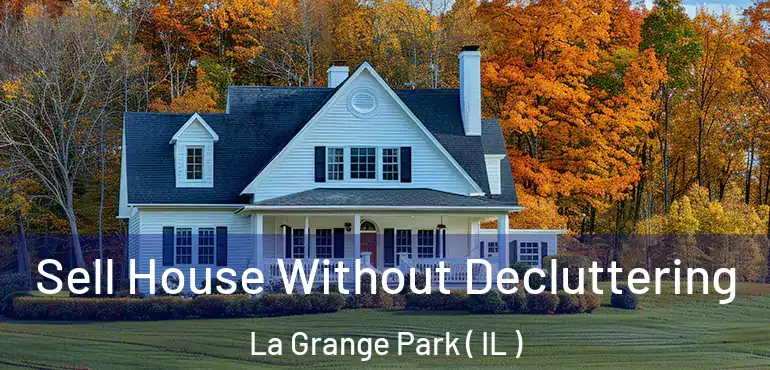  Sell House Without Decluttering La Grange Park ( IL )