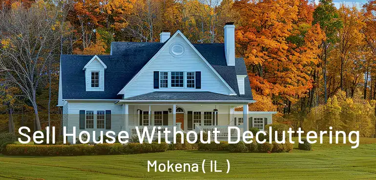  Sell House Without Decluttering Mokena ( IL )
