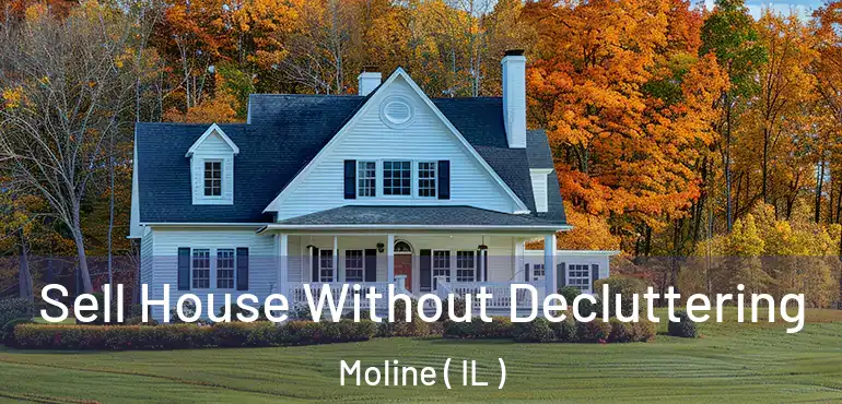  Sell House Without Decluttering Moline ( IL )