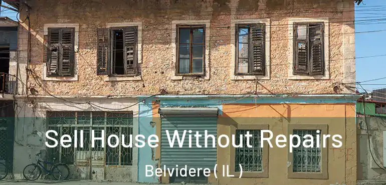  Sell House Without Repairs Belvidere ( IL )