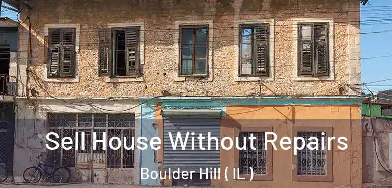  Sell House Without Repairs Boulder Hill ( IL )