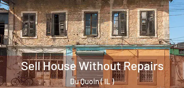 Sell House Without Repairs Du Quoin ( IL )