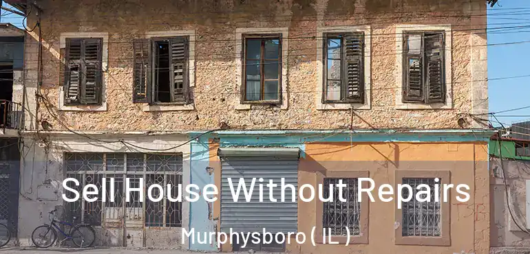  Sell House Without Repairs Murphysboro ( IL )
