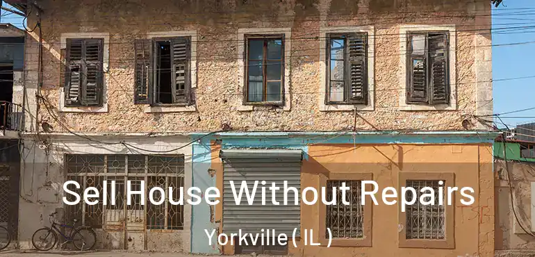  Sell House Without Repairs Yorkville ( IL )