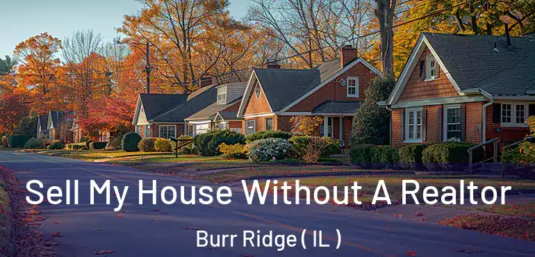  Sell My House Without A Realtor Burr Ridge ( IL )