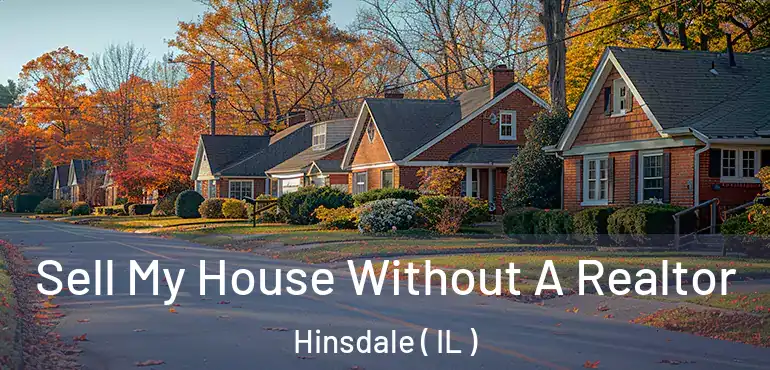  Sell My House Without A Realtor Hinsdale ( IL )