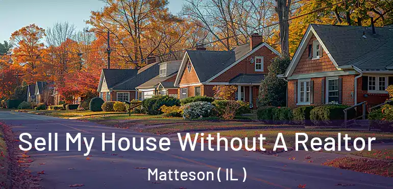  Sell My House Without A Realtor Matteson ( IL )