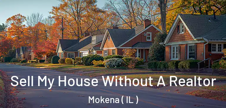  Sell My House Without A Realtor Mokena ( IL )