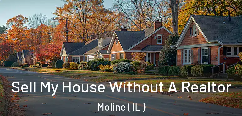  Sell My House Without A Realtor Moline ( IL )