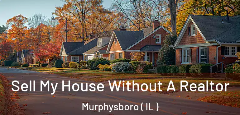  Sell My House Without A Realtor Murphysboro ( IL )