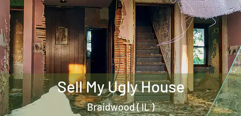  Sell My Ugly House Braidwood ( IL )