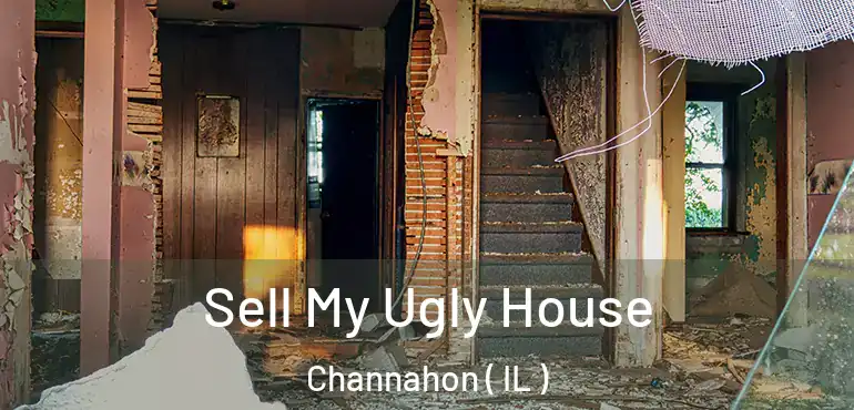  Sell My Ugly House Channahon ( IL )