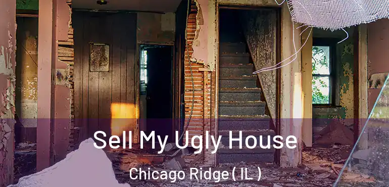  Sell My Ugly House Chicago Ridge ( IL )