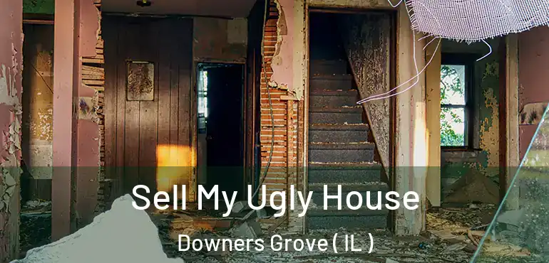  Sell My Ugly House Downers Grove ( IL )