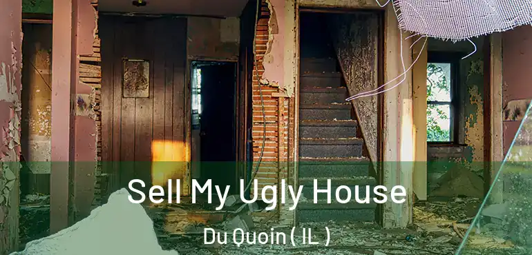  Sell My Ugly House Du Quoin ( IL )