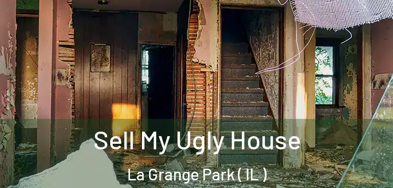  Sell My Ugly House La Grange Park ( IL )