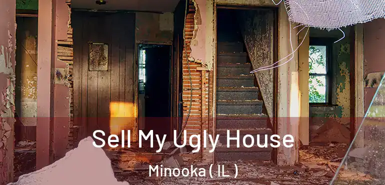  Sell My Ugly House Minooka ( IL )
