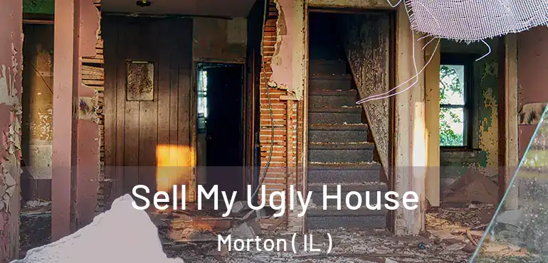  Sell My Ugly House Morton ( IL )
