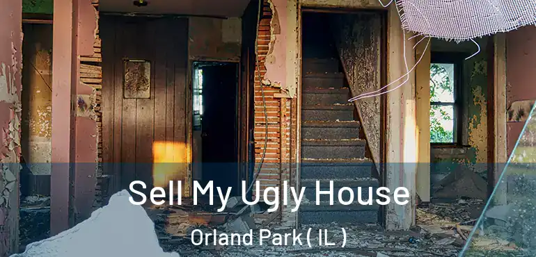  Sell My Ugly House Orland Park ( IL )