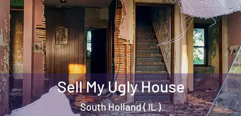  Sell My Ugly House South Holland ( IL )
