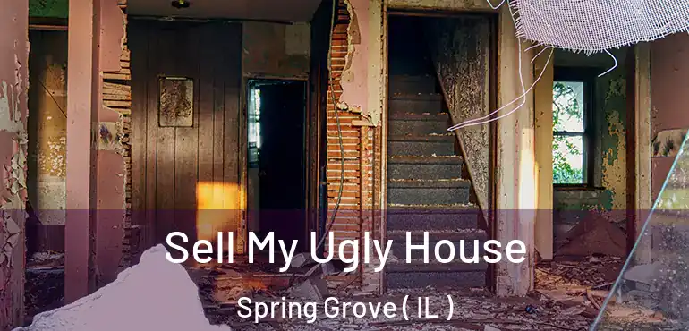  Sell My Ugly House Spring Grove ( IL )