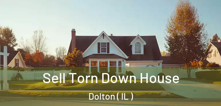  Sell Torn Down House Dolton ( IL )