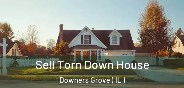  Sell Torn Down House Downers Grove ( IL )