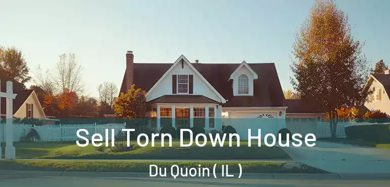 Sell Torn Down House Du Quoin ( IL )
