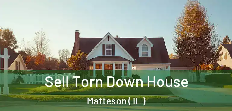  Sell Torn Down House Matteson ( IL )