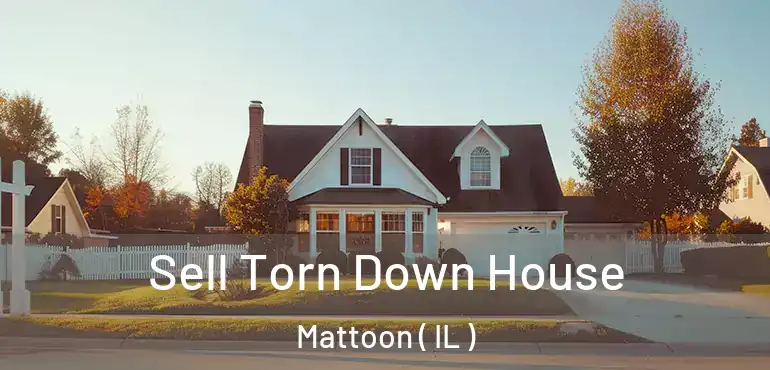  Sell Torn Down House Mattoon ( IL )