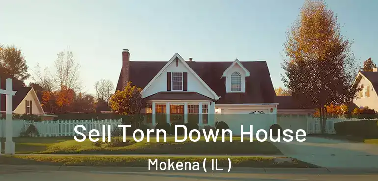  Sell Torn Down House Mokena ( IL )