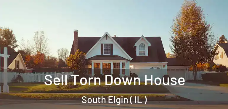  Sell Torn Down House South Elgin ( IL )