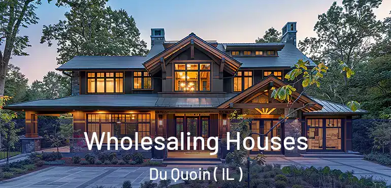  Wholesaling Houses Du Quoin ( IL )